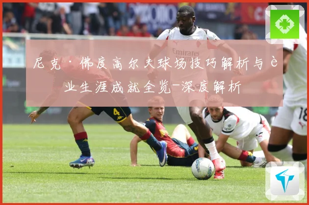 尼克·佛度高尔夫球场技巧解析与职业生涯成就全览-深度解析